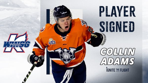 K-WINGS SIGN FORWARD COLLIN ADAMS