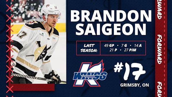 K-WINGS SIGN FORWARD BRANDON SAIGEON